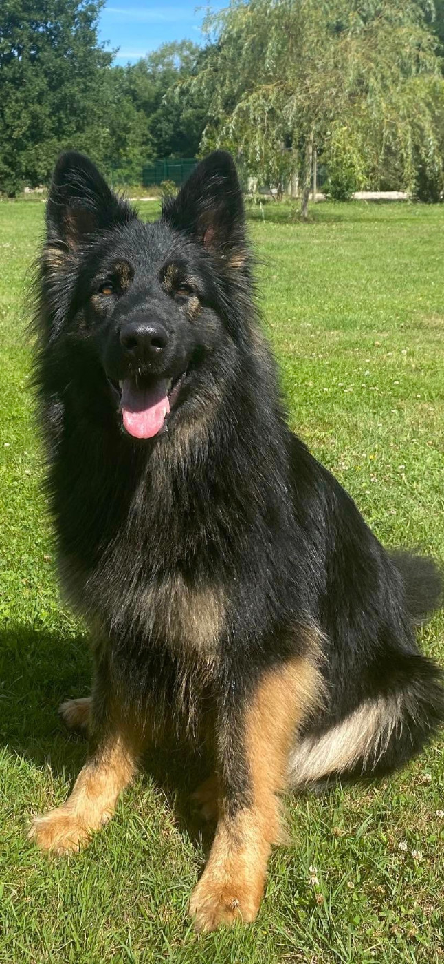 Publication : Du Bois Des Sentinelles