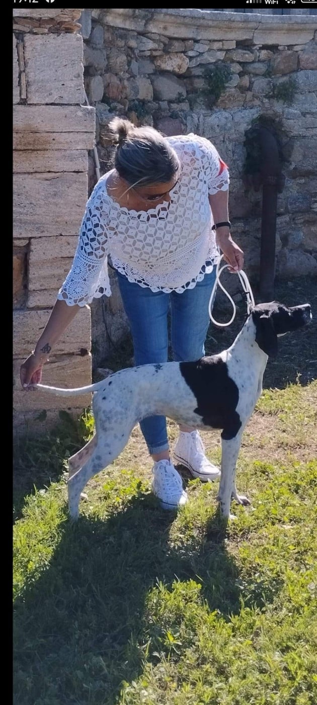 Publication : Des Bois De Mercoeur Auteur : Pierre Ducher