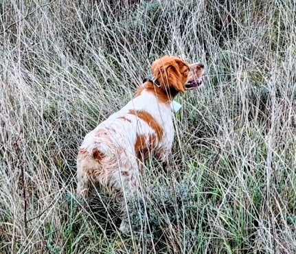 Publication : Des Sources De La Margeride Auteur : Des sources de la margeride