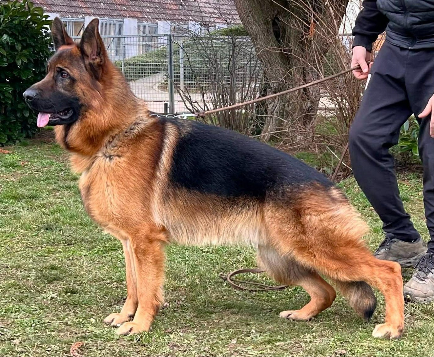 Publication : Du Clos D'azieu 