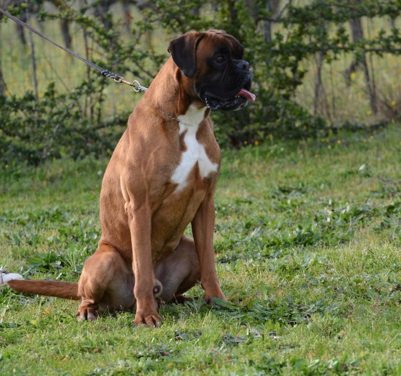 Publication : Des gorges d'heric 