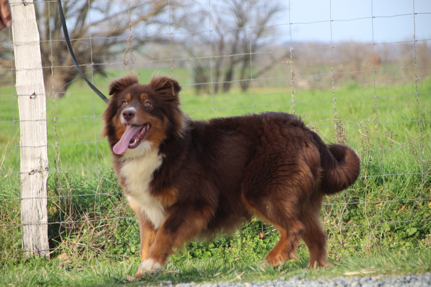 Publication : Des sources sacrees 