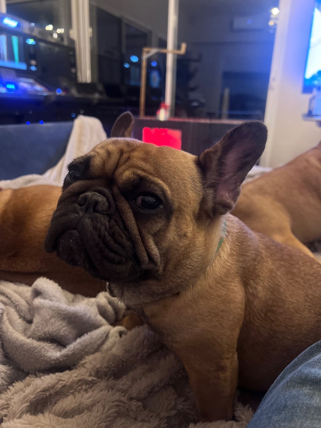 Publication : Du Marais 