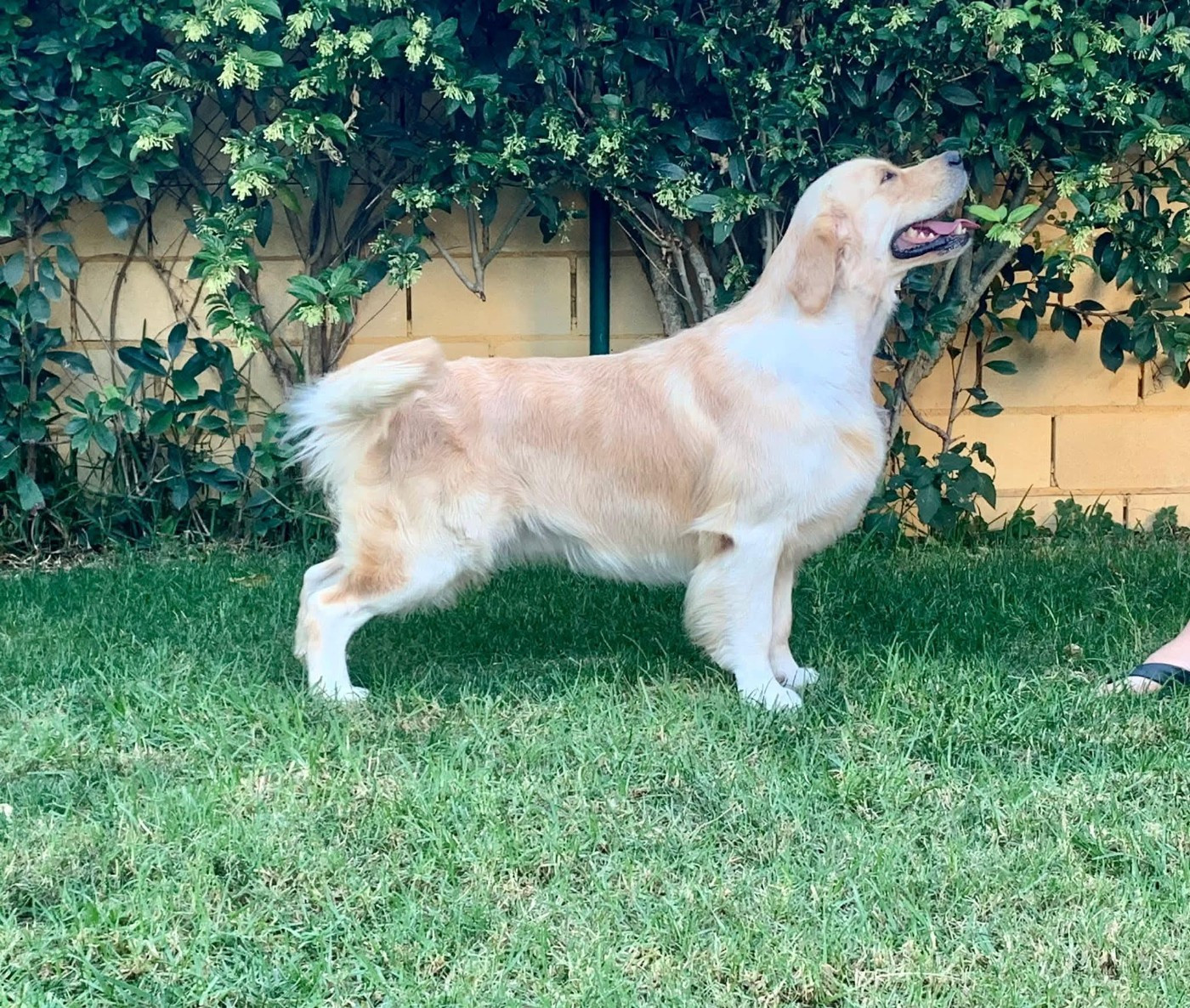 Publication : des terres de scoubidou 