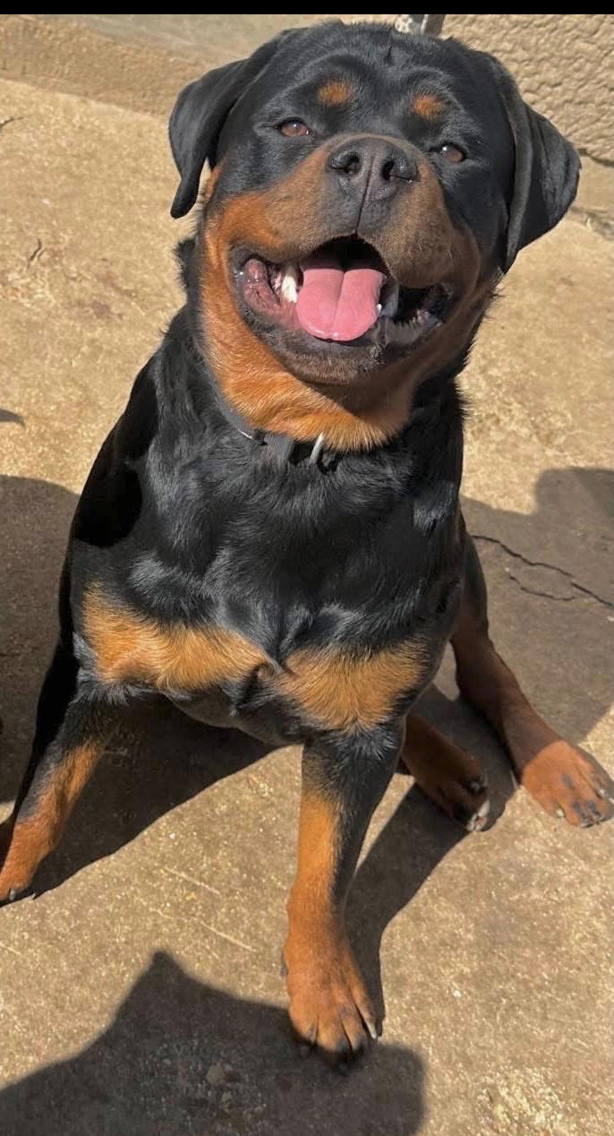 Publication : Du Monde De Laly 