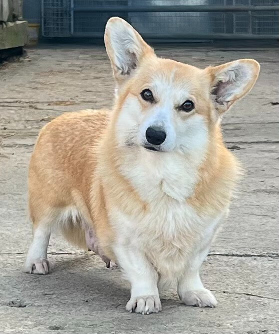 Publication : Du Domaine Pierre Quinpierre 