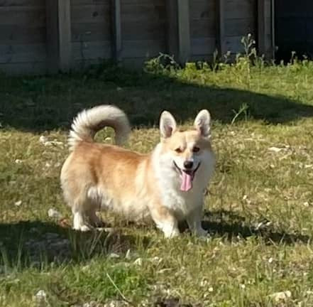 Publication : Du Domaine Pierre Quinpierre 