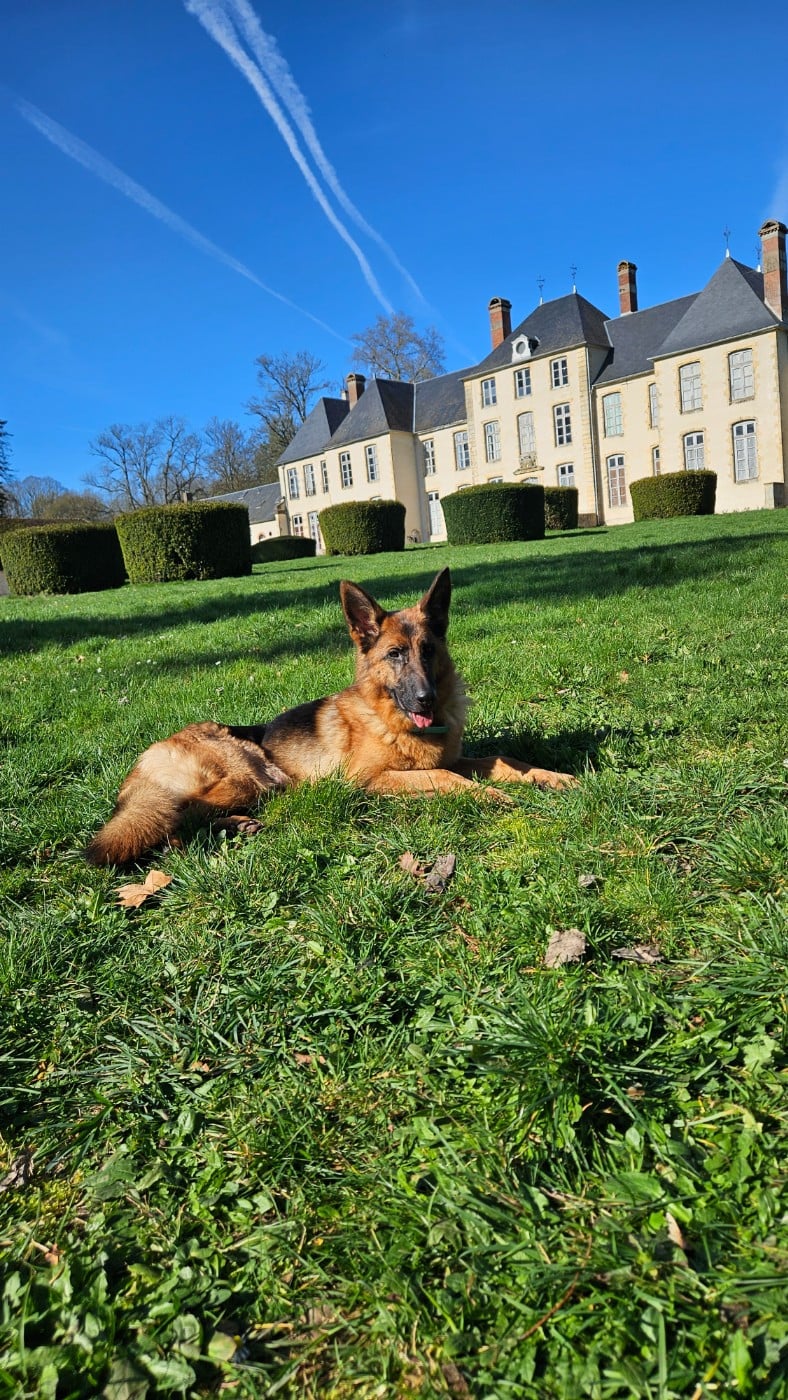 Publication : (Sans Affixe) 