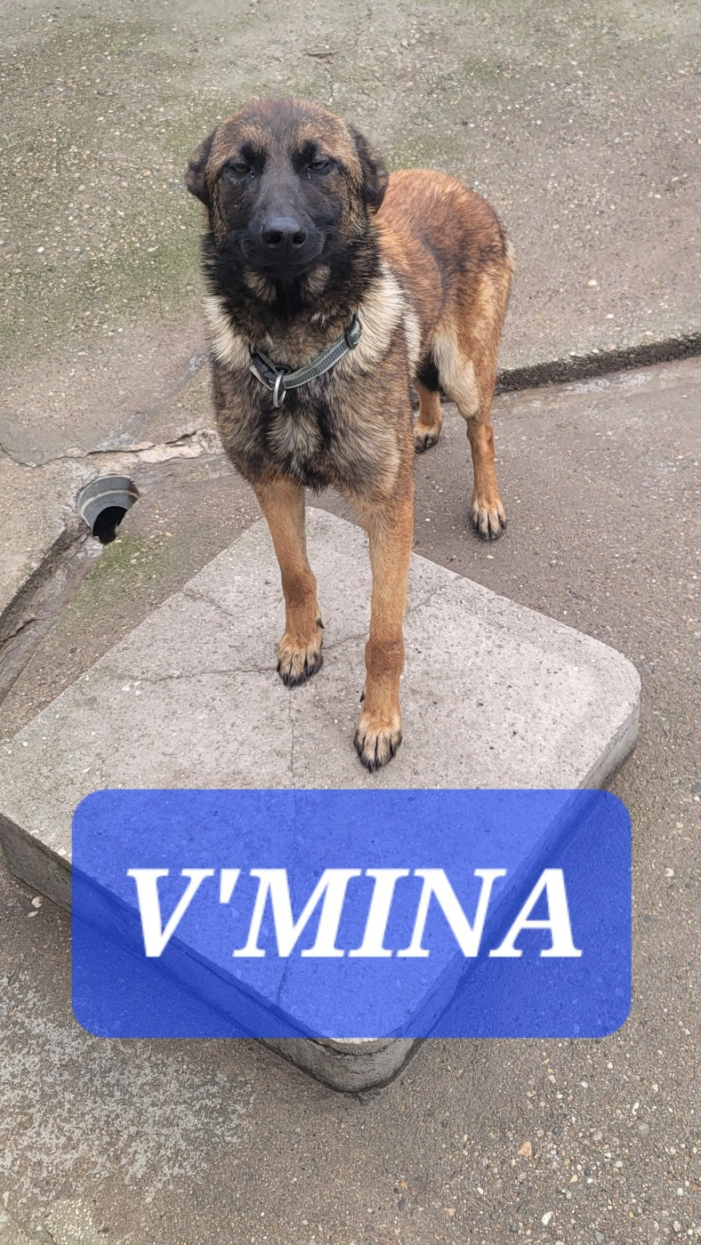 Publication : Du domaine de maryanne Auteur : sylvain sylvain