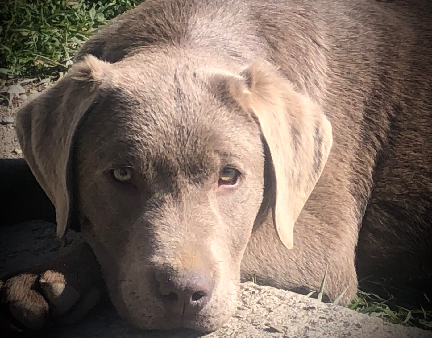 Publication : By Champs'Or Auteur : Élise PLAUCHUT