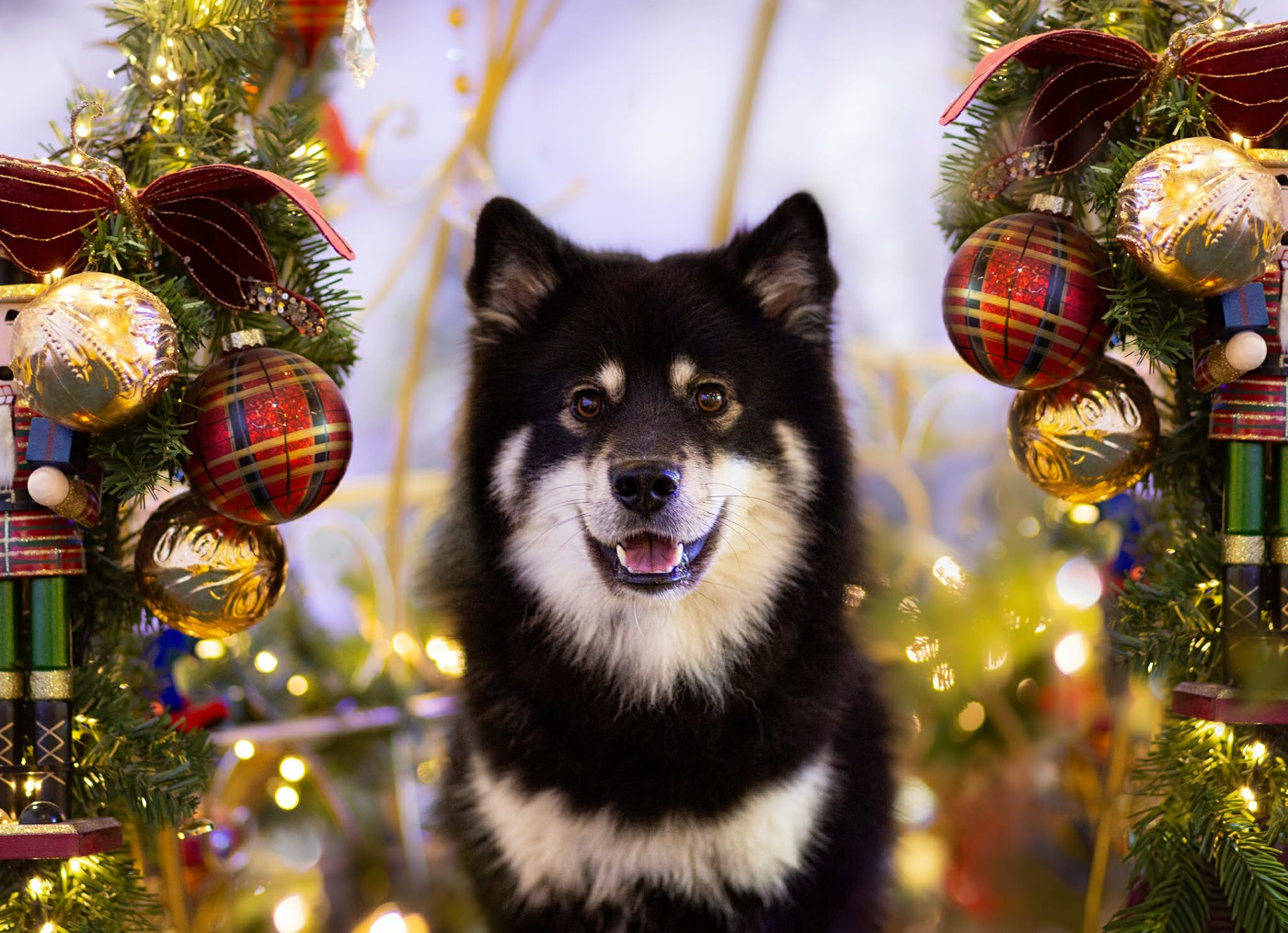 Publication : Des Bocages De Thierache