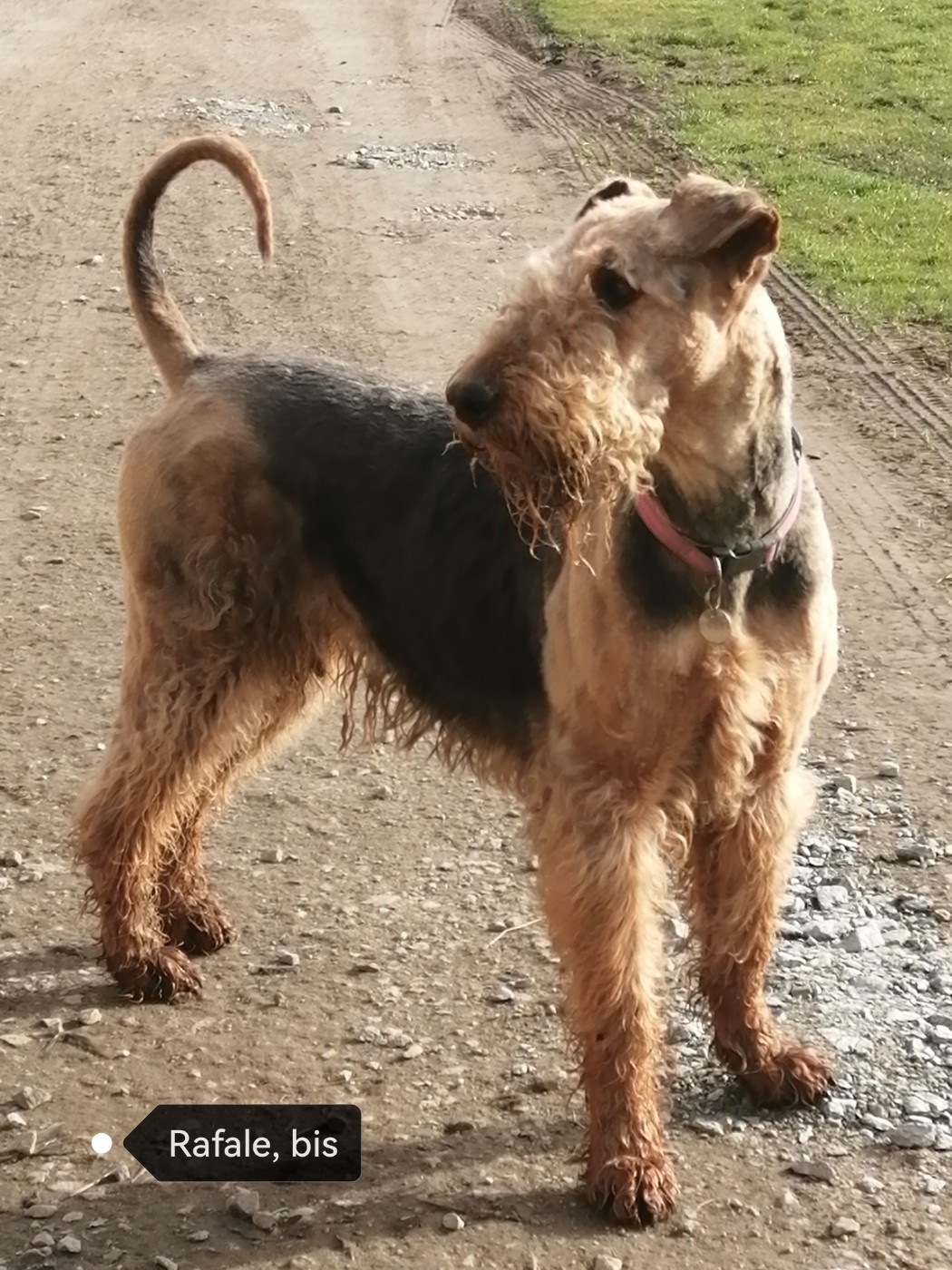 Publication : Des Loges De Perruet 