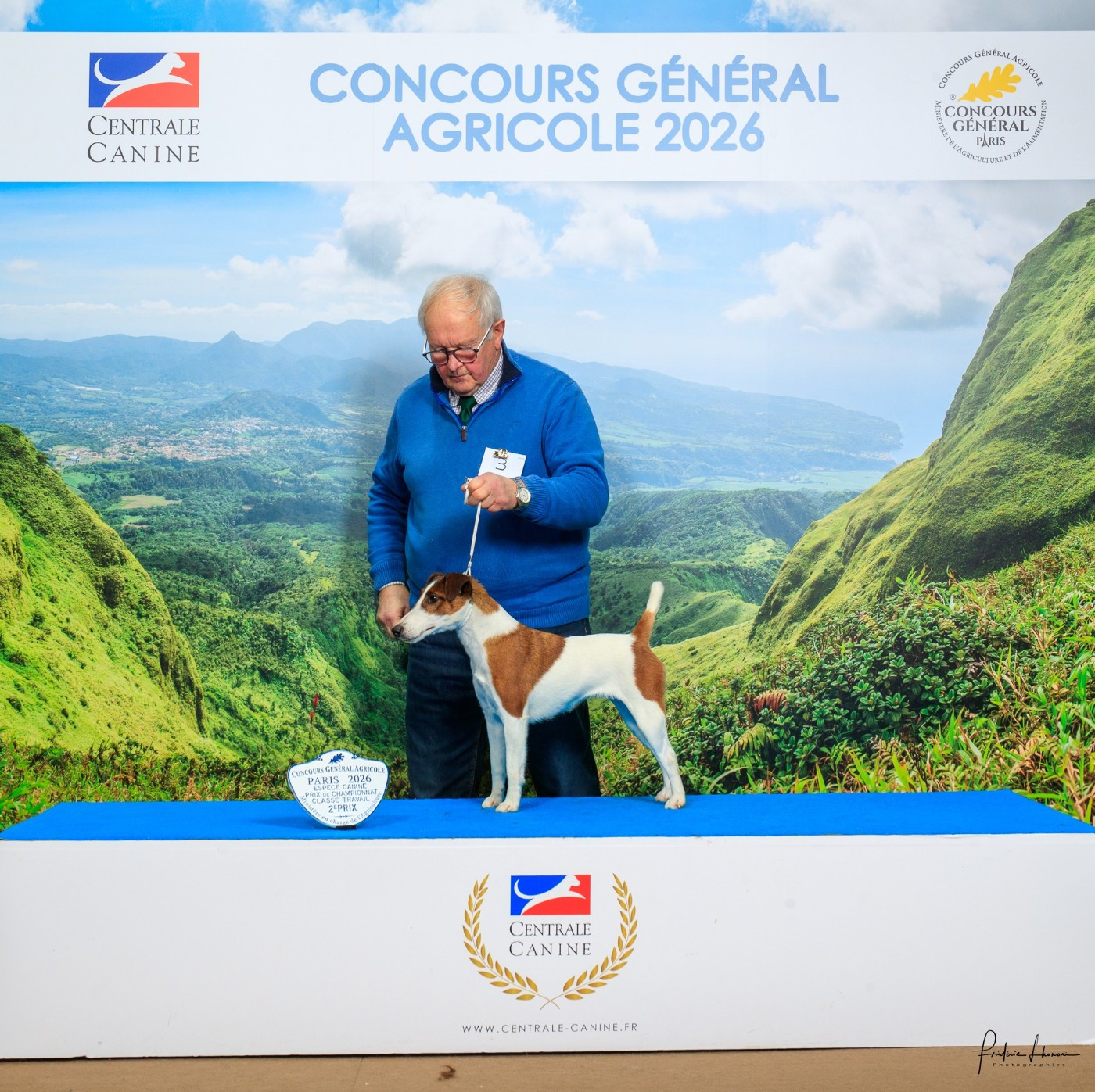 Publication : D'hondrecoutre 