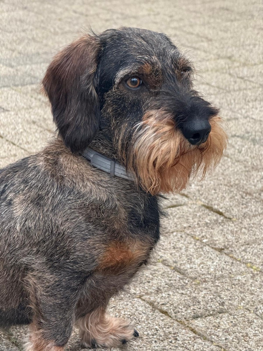 Publication : de la lisière du bruch