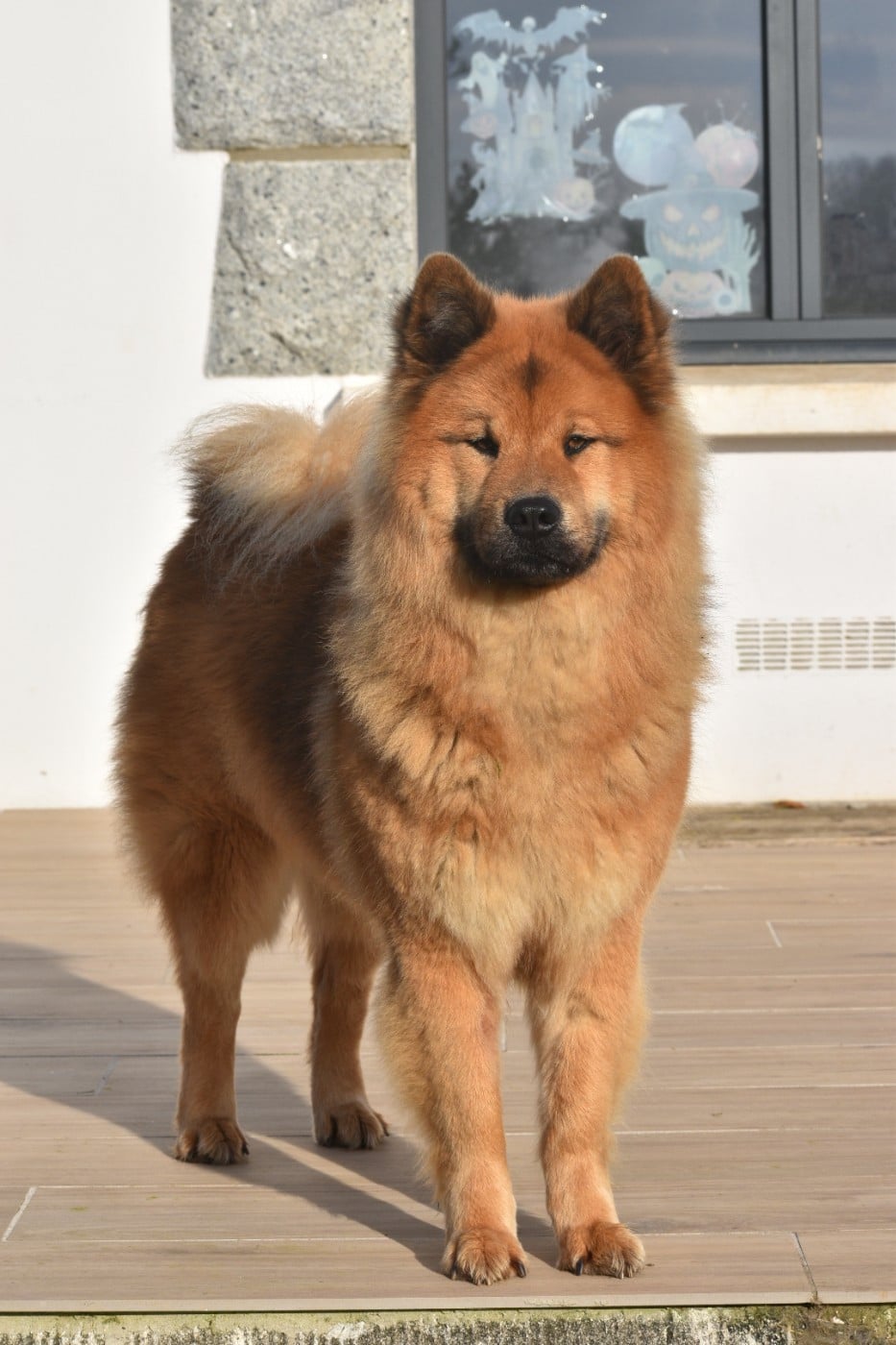 Utah sam'izaac Du Royaume D'ebène