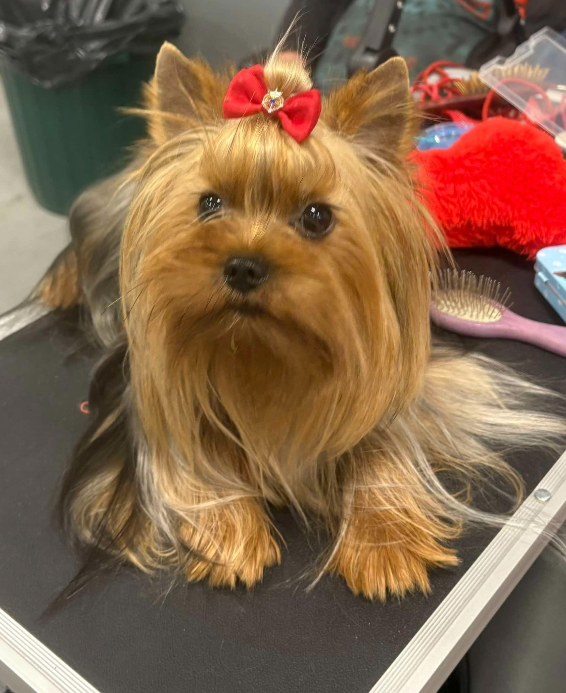 Publication : De la villa du sieur paoli 