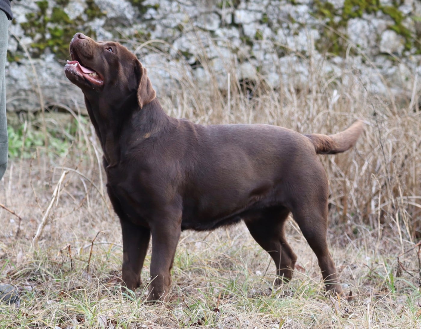 Publication : Des Vallées De Galway