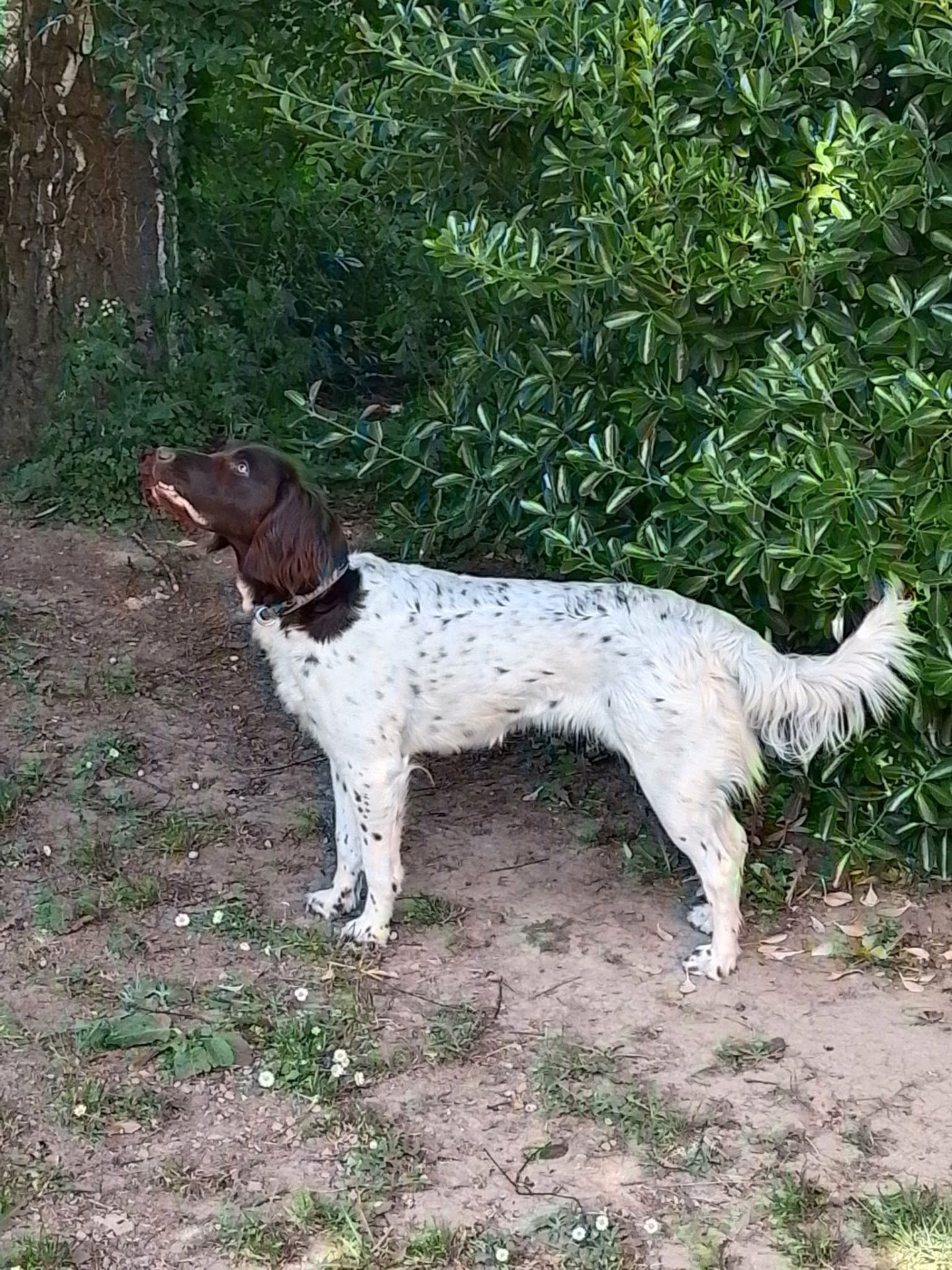 Publication : Chan Swy 