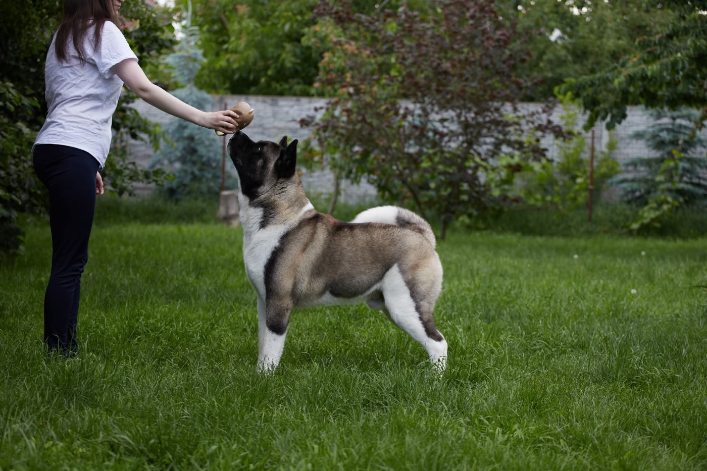 Deep is your love hilarious peace