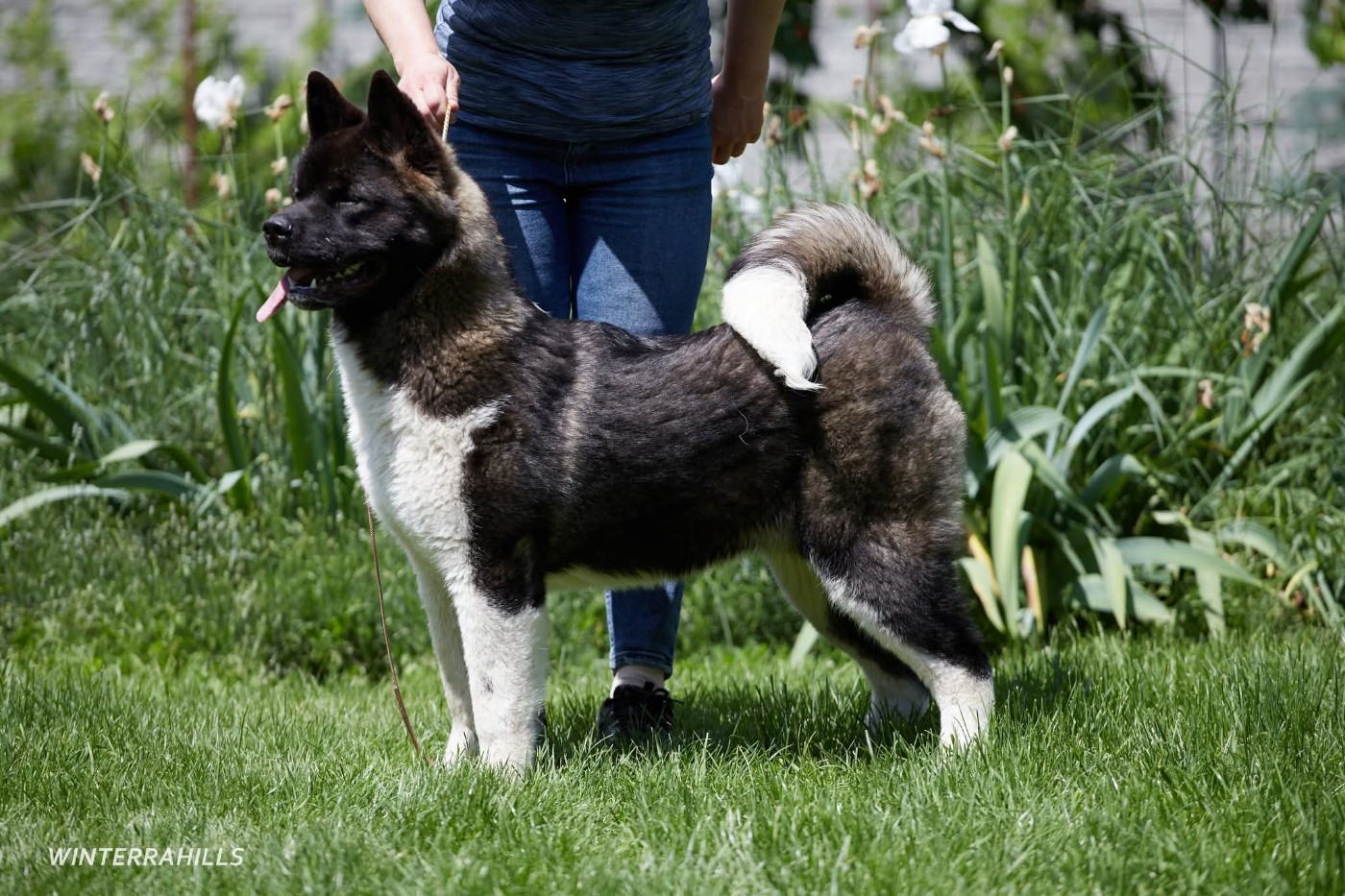 winterrahills Yakima