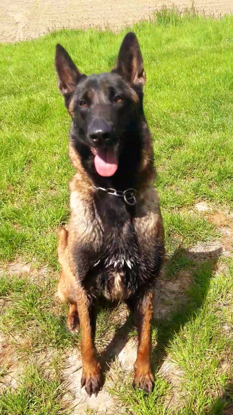 Publication : Du Lac Merlas Auteur : BAËTZ BenoÏt