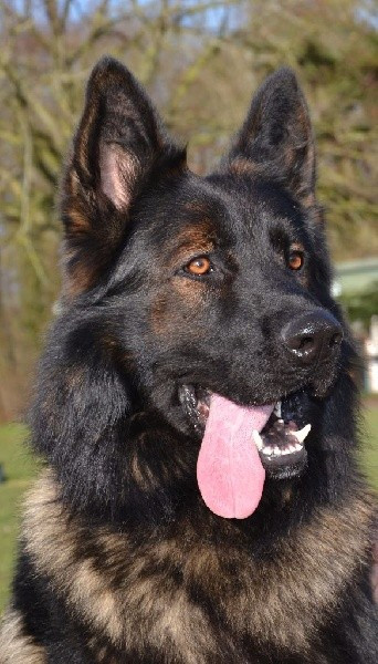 Publication : du clos Chalis