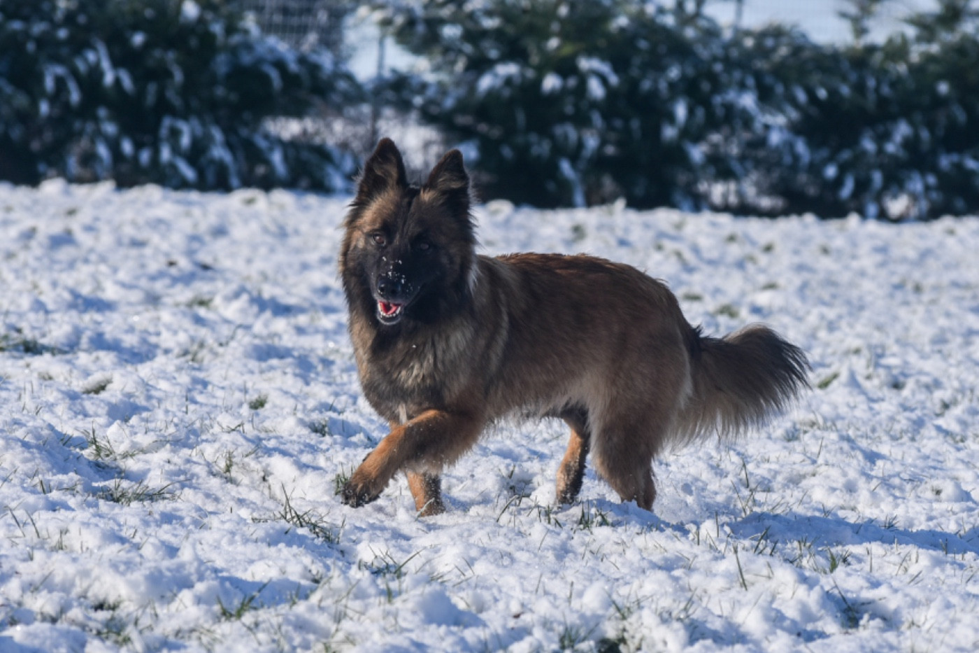 Publication : Legend'of Ki Breizh 