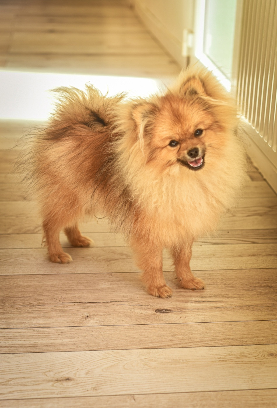 Publication : Legend'of Ki Breizh 