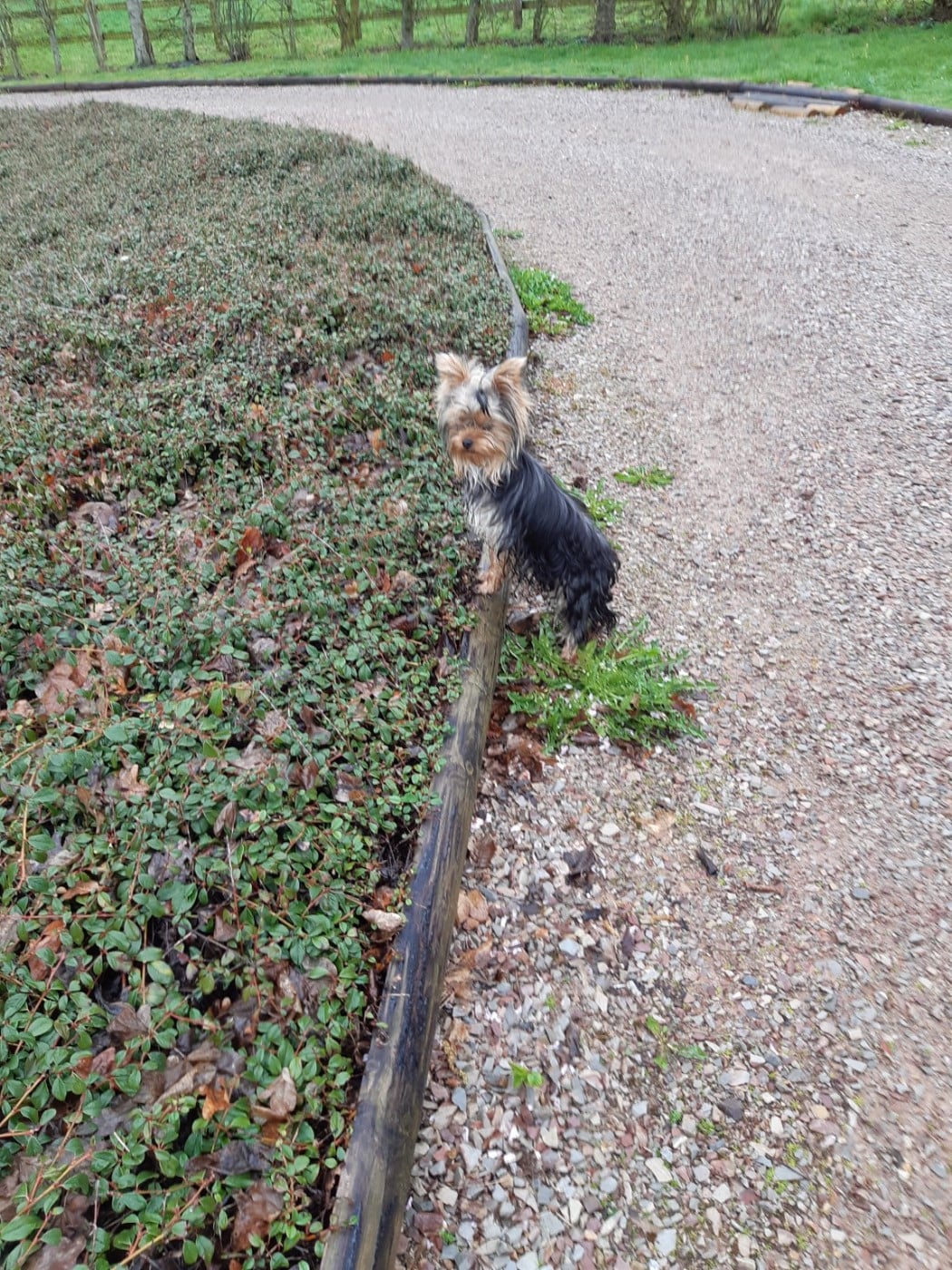 Publication : Domaine De La Petite Longère Auteur : Florence Amargier