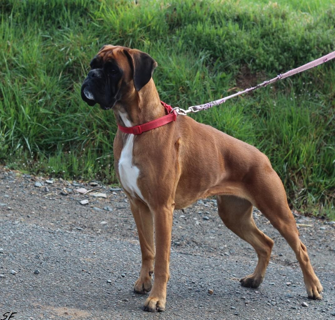 Publication : Des gorges d'heric Auteur : Sylvie FORET