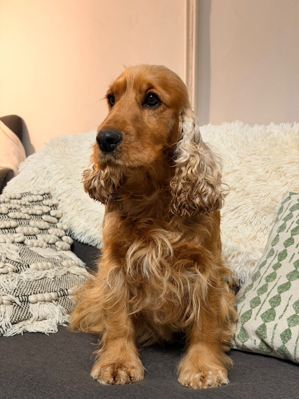 Publication : Du Clos De Compostelle 