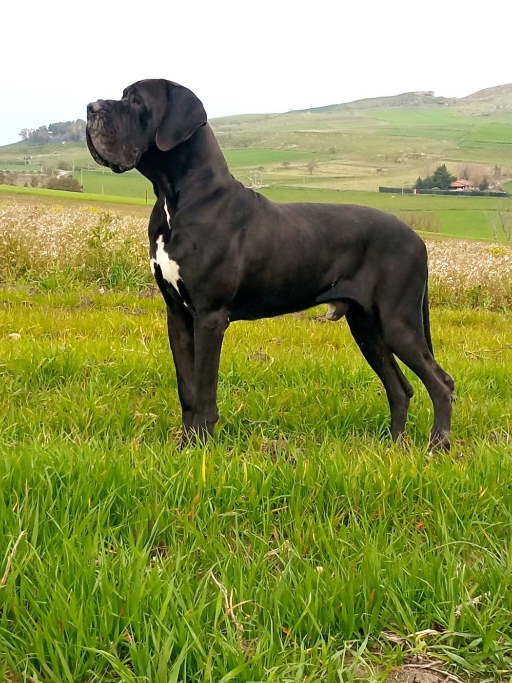 Publication : du clos du bonheur 