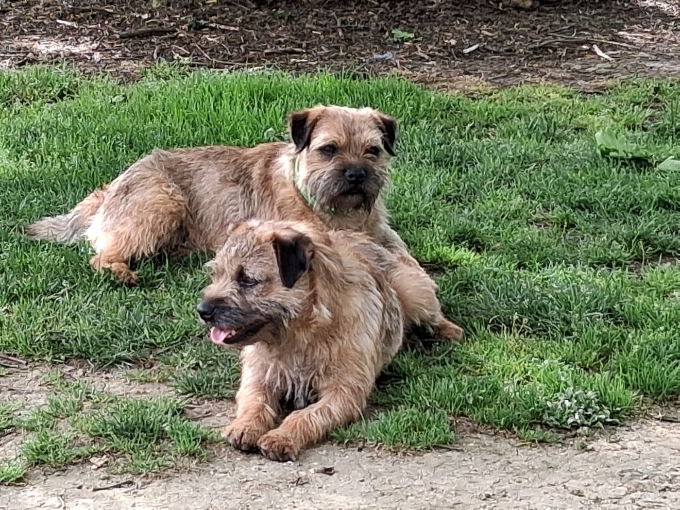 Publication : Of Sharper's Auteur : KATHERINE BOURGEIX