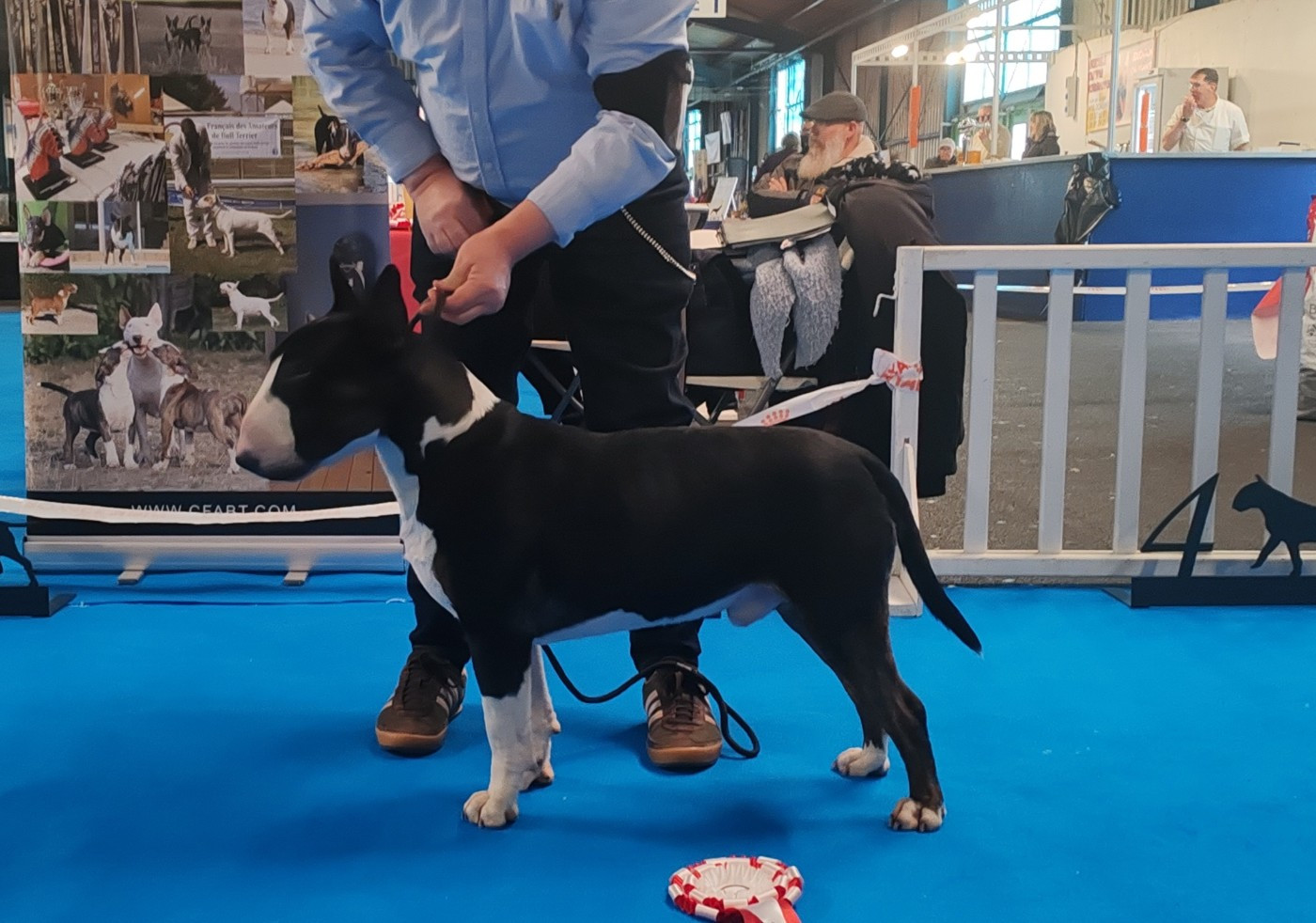 Publication : du Royal Belvédère 