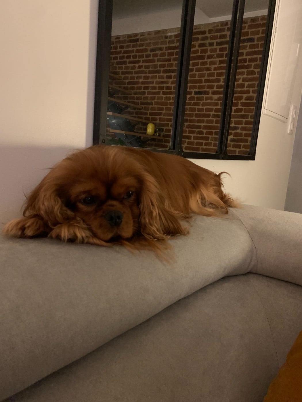 Publication : D'un Souvenir Fauve 