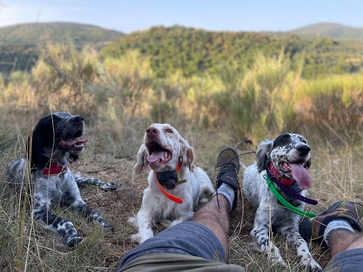 Publication : Terre Des Lavandes 