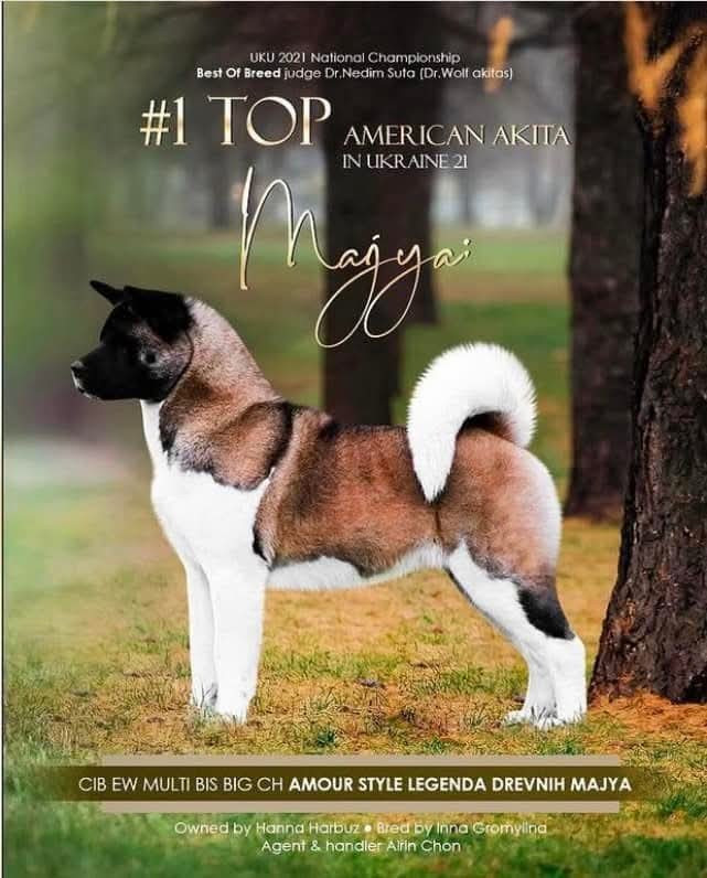 CH. amour style Legenda drevnih majya