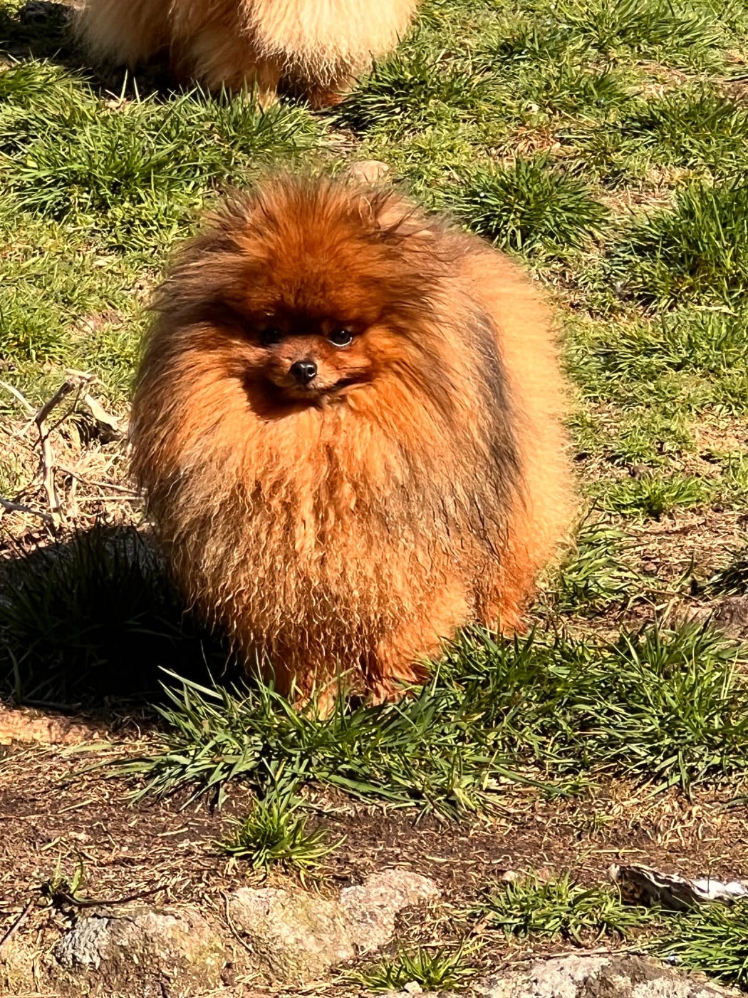 Publication : du lunoxa Auteur : Lp