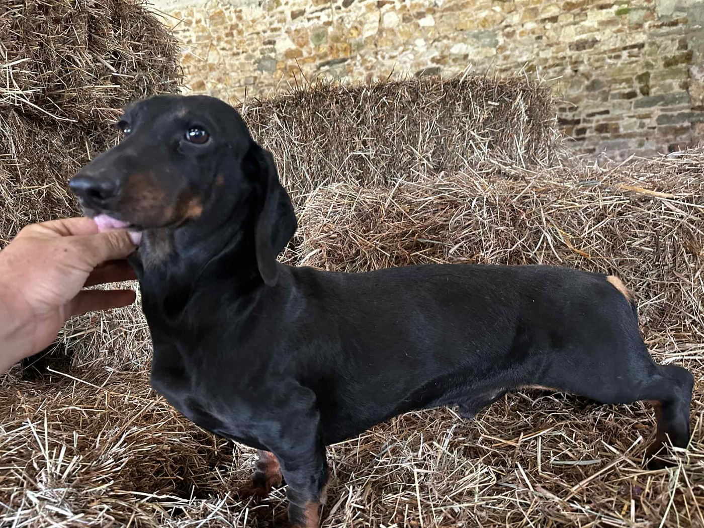 Publication : Gabéric's