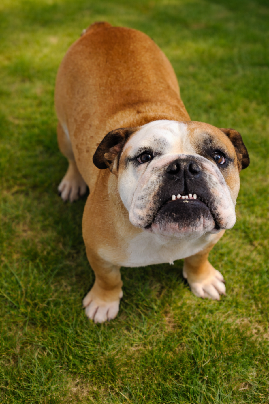 Publication : Du Domaine De Lilounaka Auteur : Karine le Galès