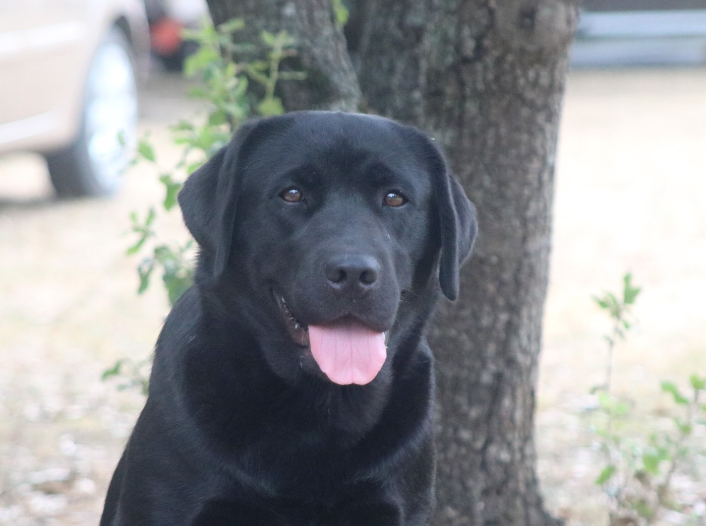 Publication : des Vents de la Cavayere Auteur : SYLVIE MARTRE GAUTIE