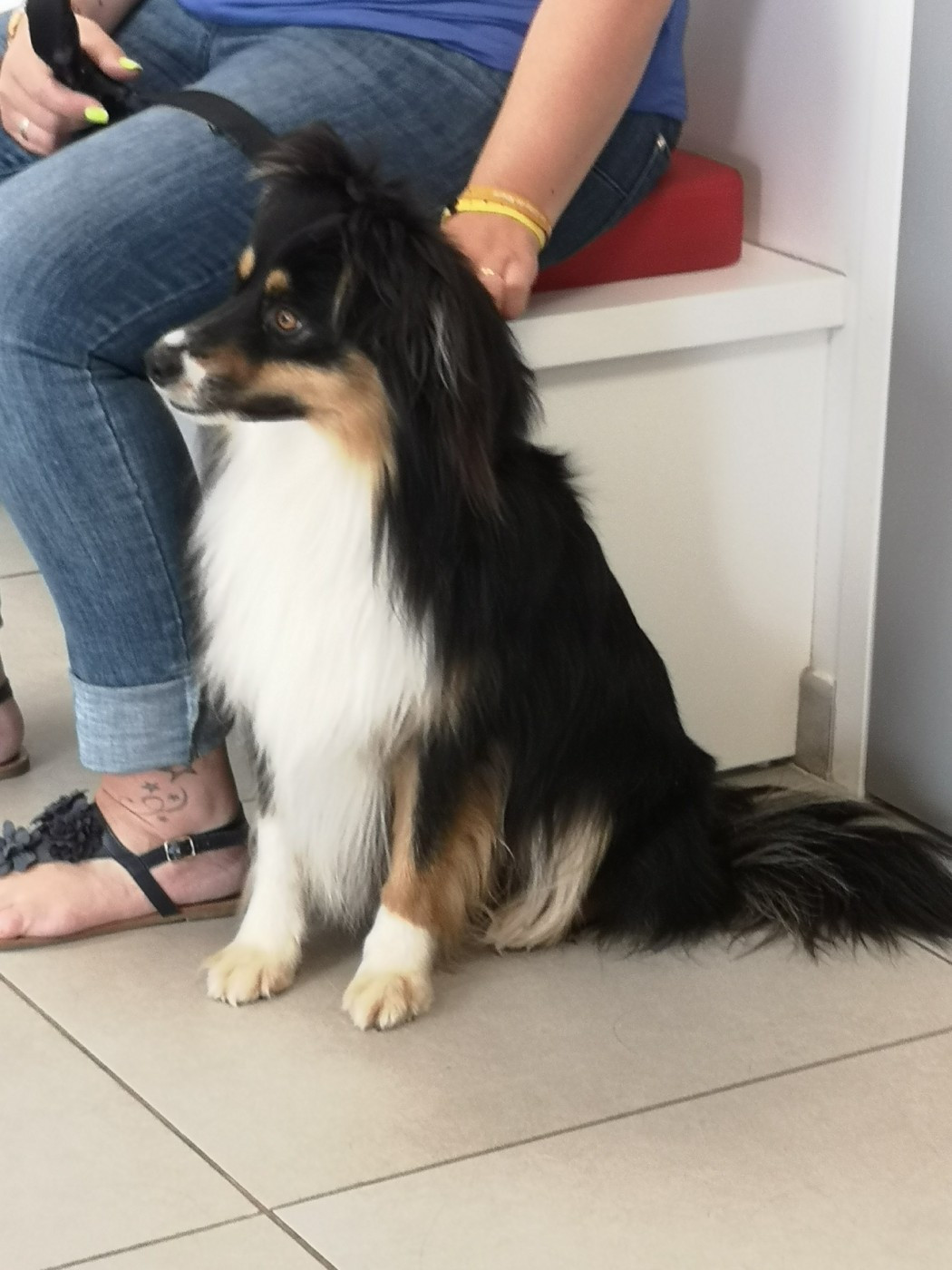 Publication : (Sans Affixe) 