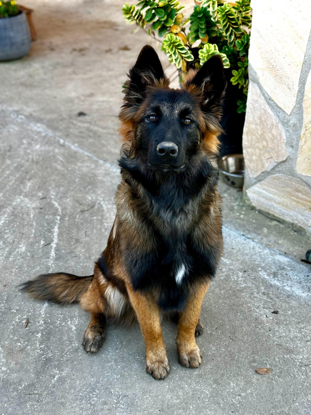 Publication : Du Mont Sainte-Hélène 