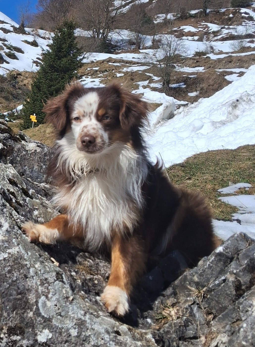 Publication : (Sans Affixe) 