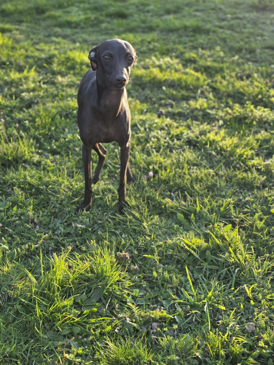 Publication : Du Domaine Des Grands Causses Auteur : Domaine des Grands Causses