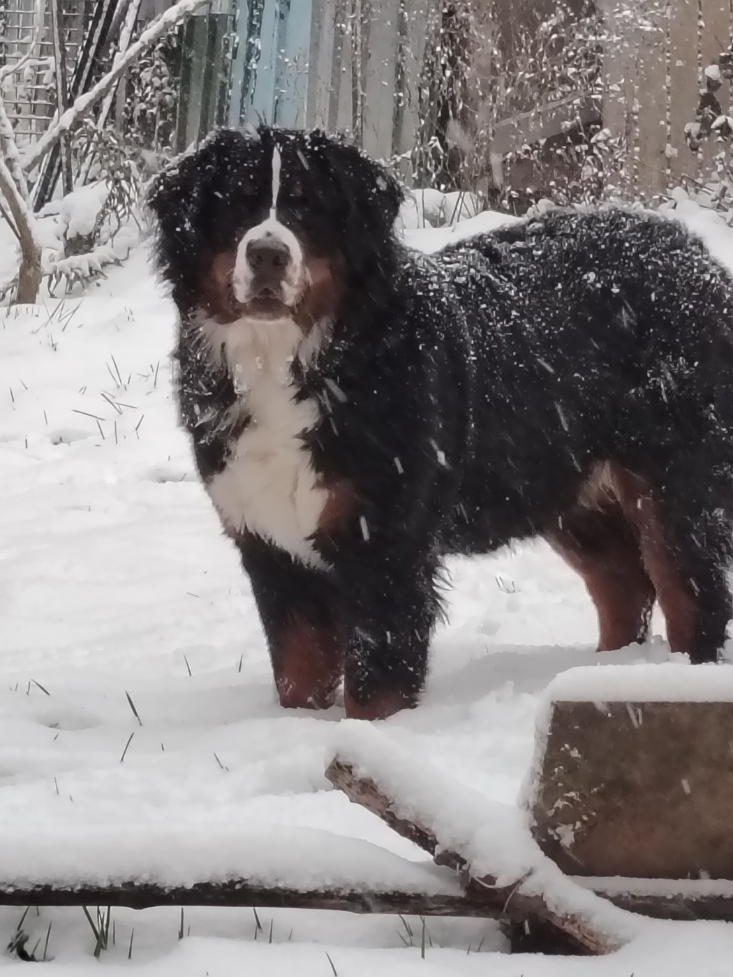 Publication : De La Vallee De Roxskim 