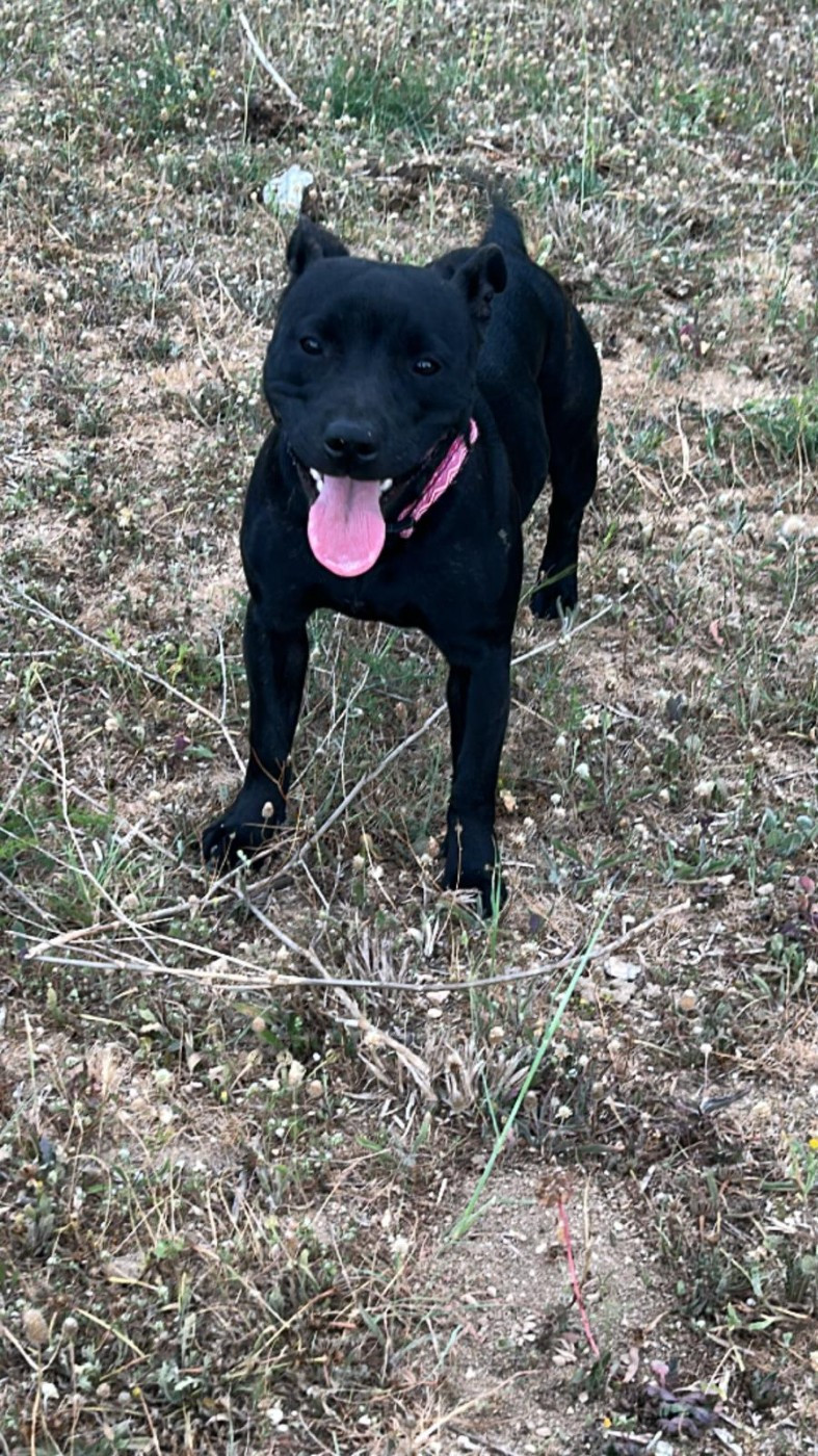 Publication : du Chemin des Contrebandiers 