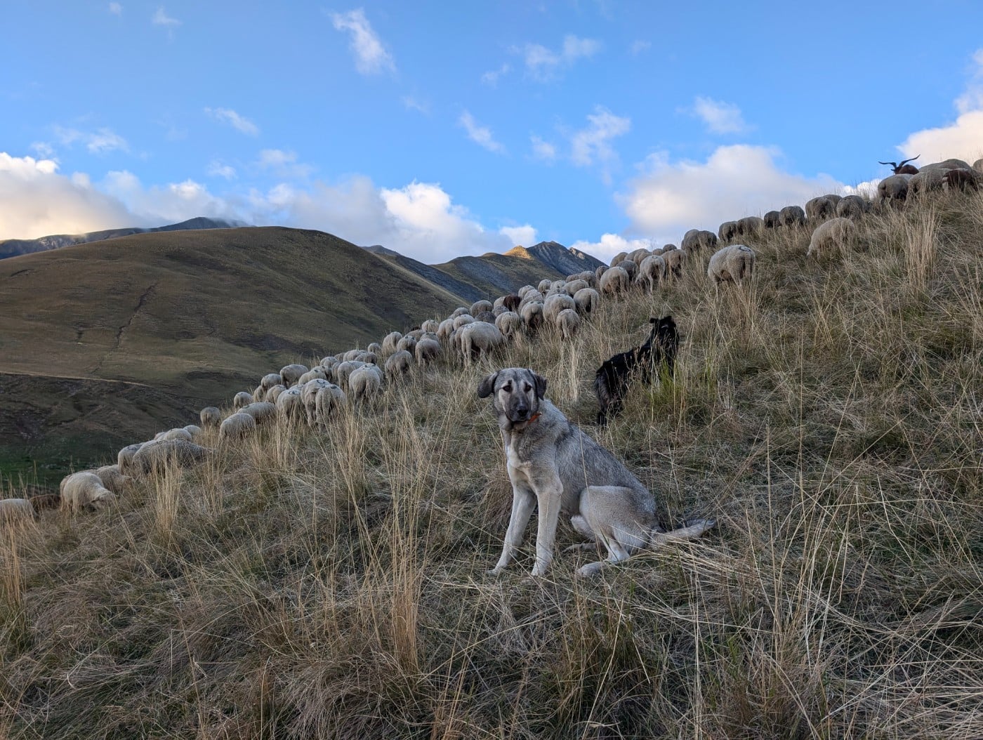 Publication : Du Rocher De Cire