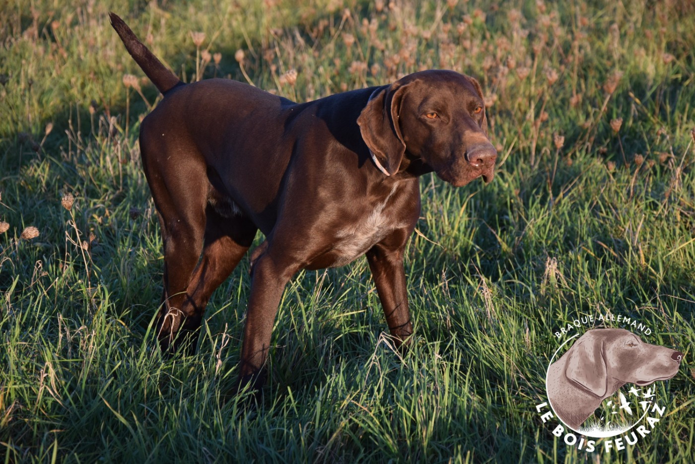 Publication : du Bois Feuraz