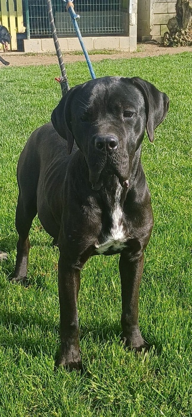 Publication : des Abysses de Némésis 